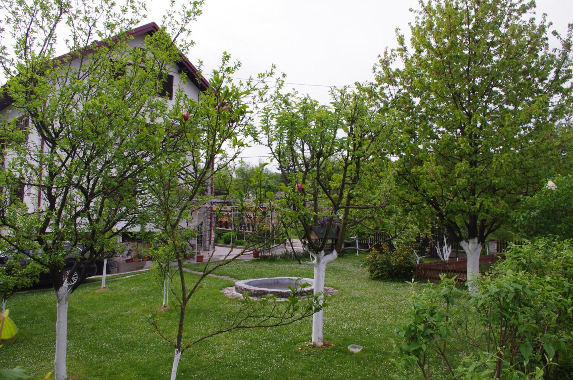 Apartment Tomy Slunj Buitenkant foto