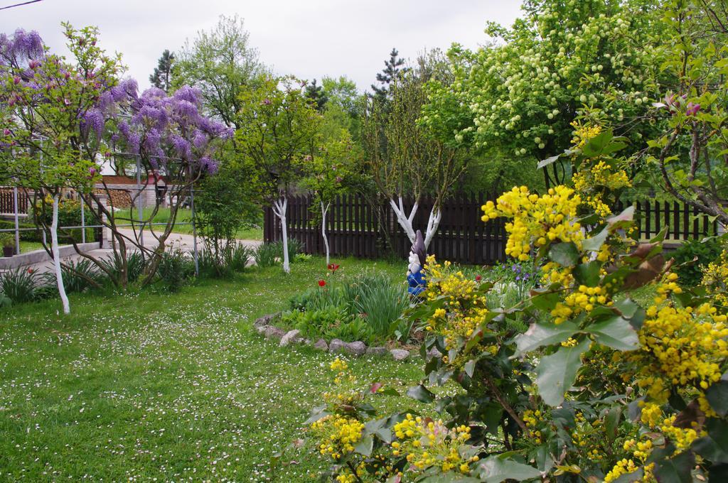 Apartment Tomy Slunj Buitenkant foto