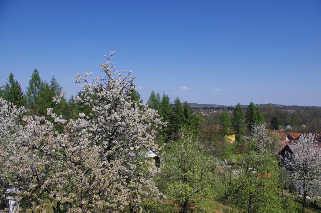 Apartment Tomy Slunj Buitenkant foto